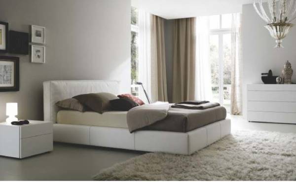 Images for Main Other of  Zinnia Elegans