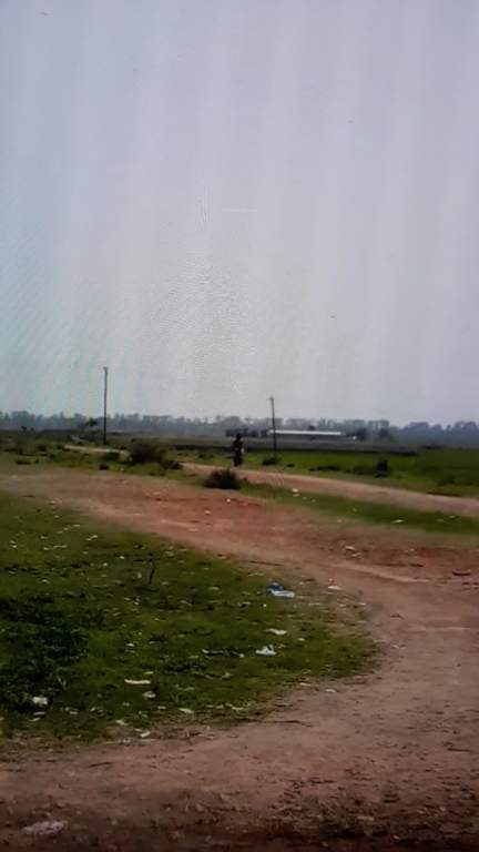 Images for mainOther