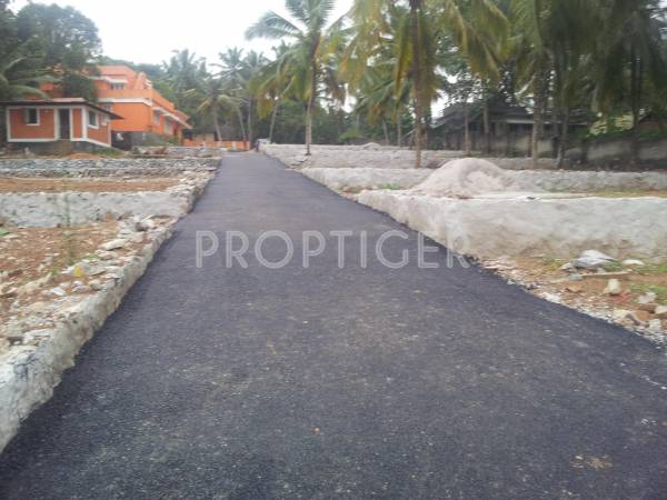 Images for Construction Status of Vintage Green Woods