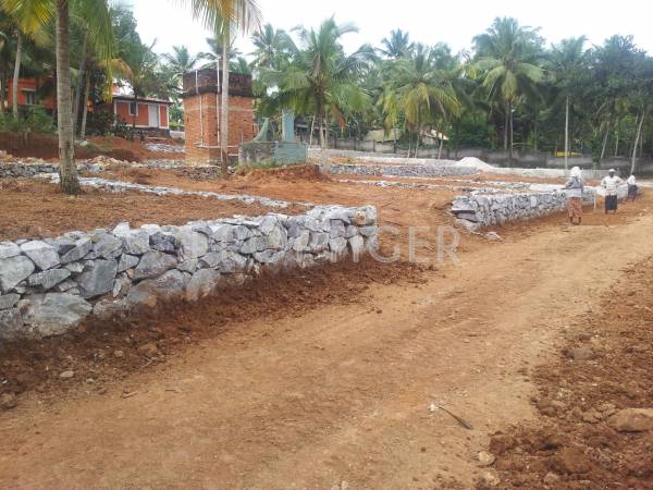 Images for Construction Status of Vintage Green Woods