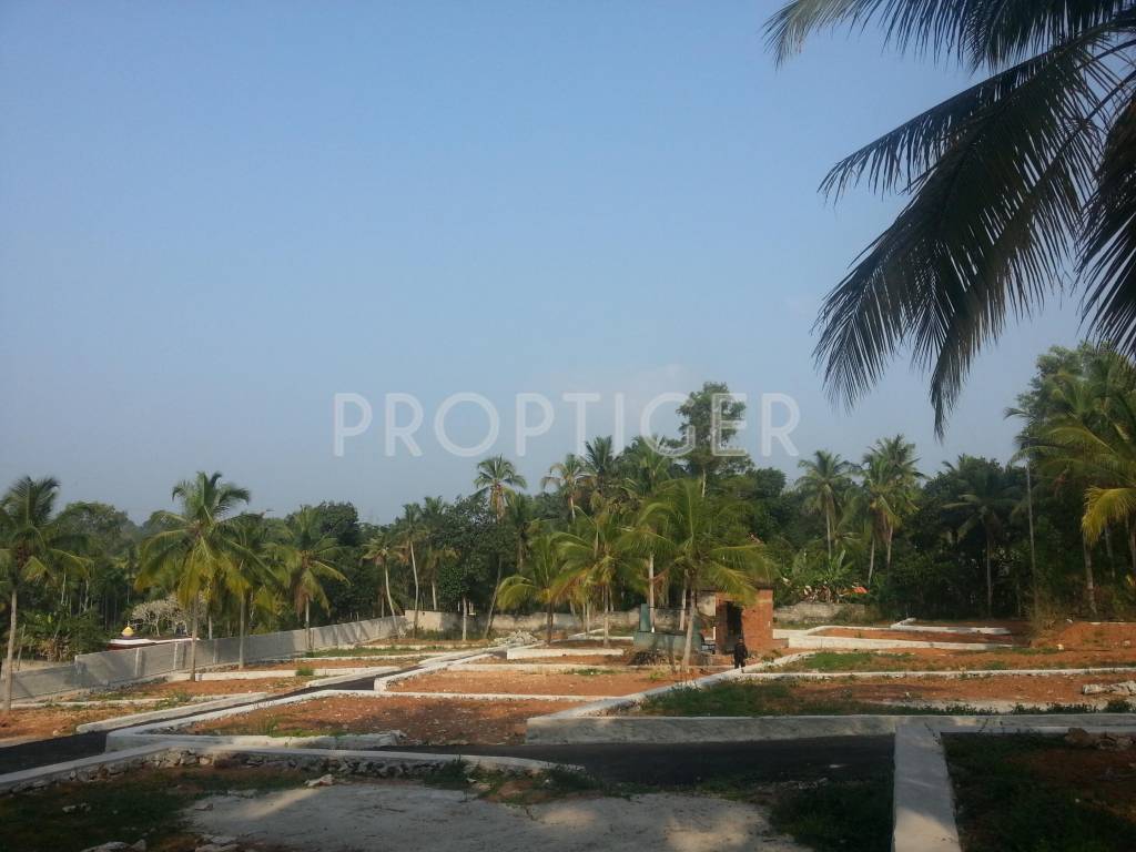 Images for Elevation of Vintage Green Woods