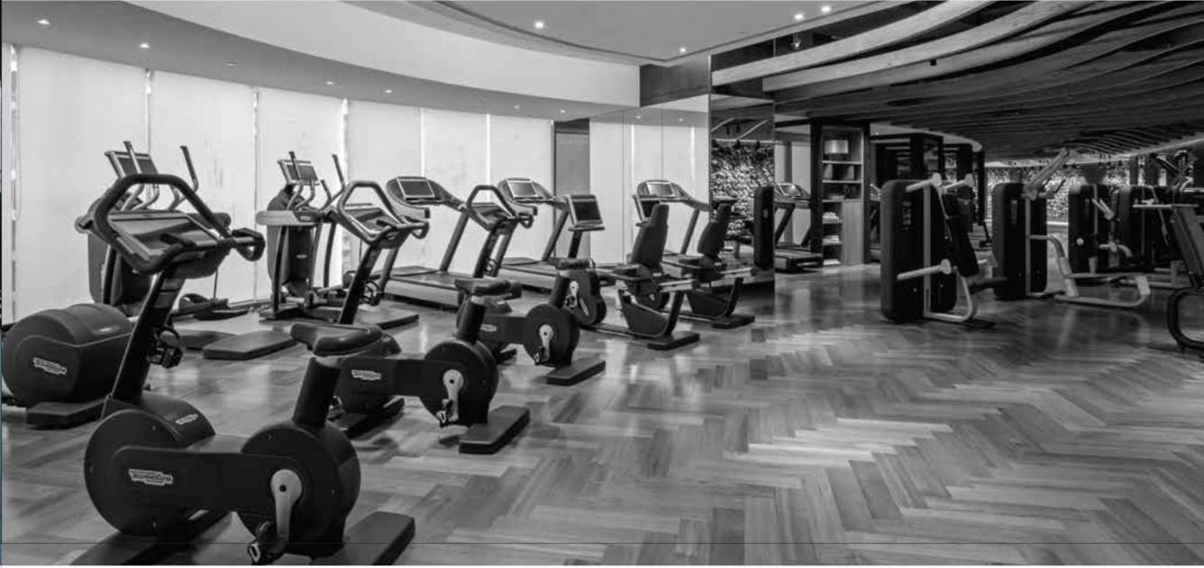  codename trinity Gymnasium