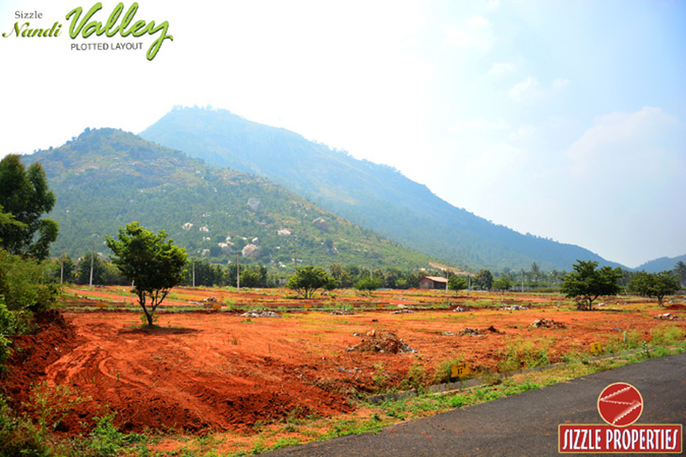 Images for Main Other of Sizzle Nandi Valley