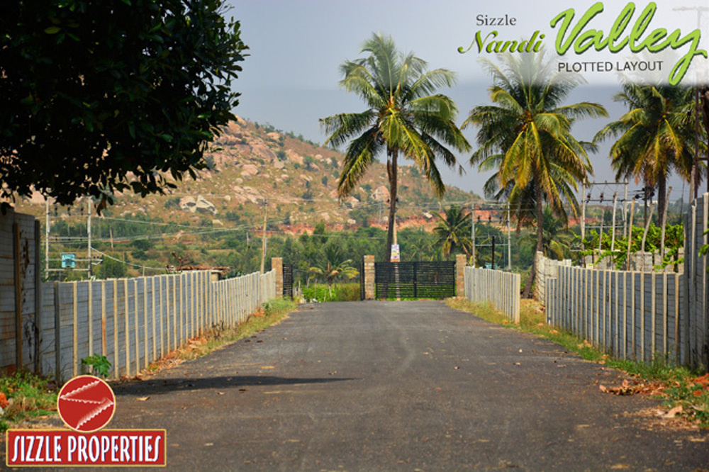 Images for Main Other of Sizzle Nandi Valley