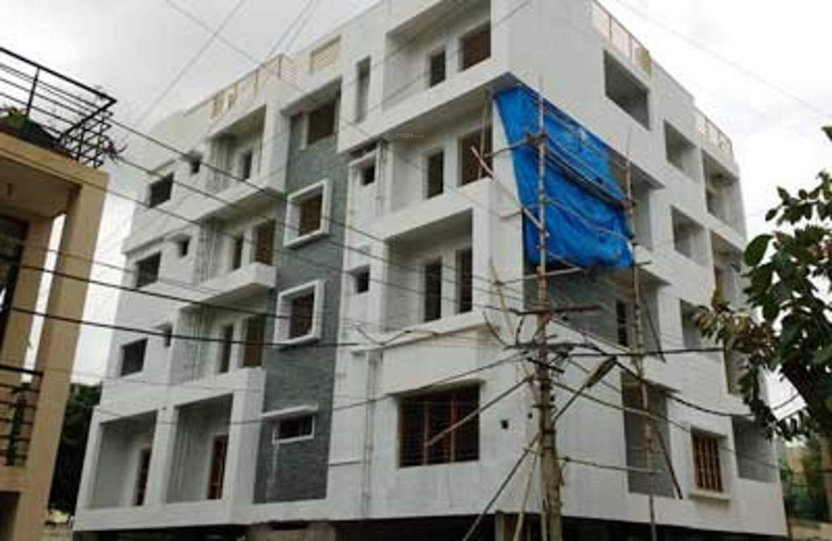 Images for Elevation of Havelock Ferndale