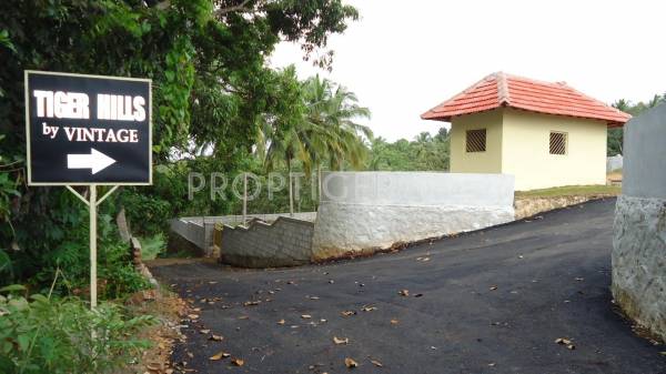 Images for Construction Status of Vintage Tiger Hills Images for Construction Status of Vintage Tiger Hills