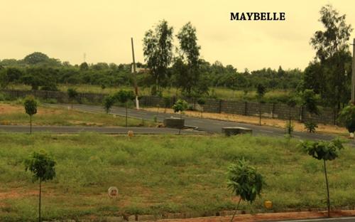  maybelle-block-2 Images for Elevation of Sizzle Maybelle Block 2