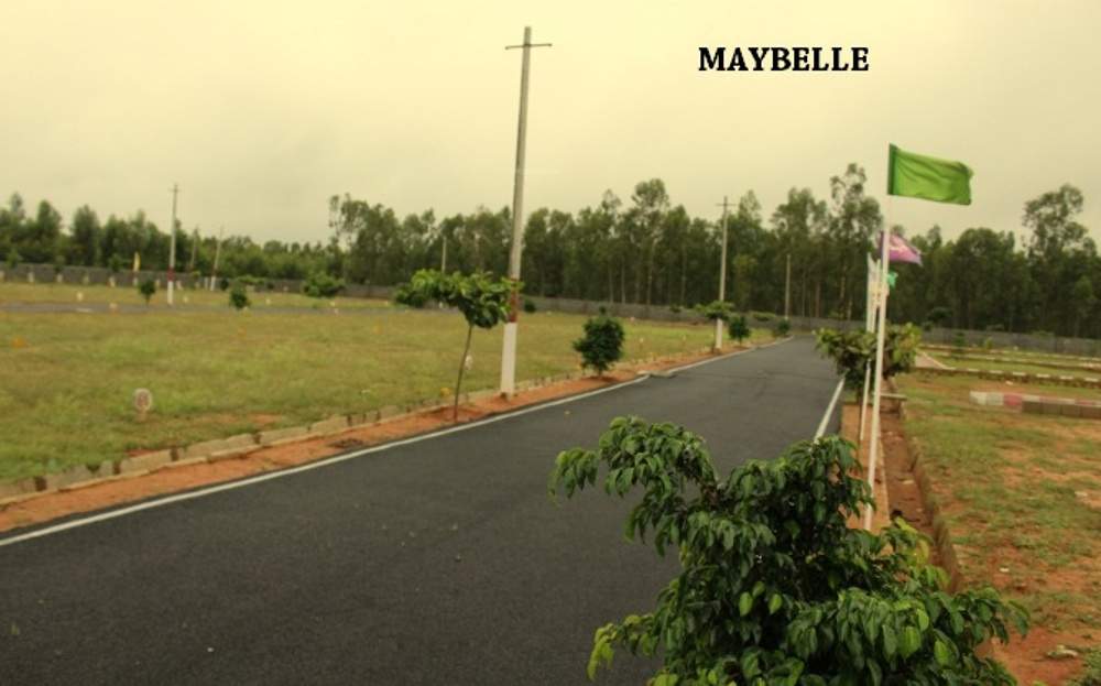  maybelle block 2 Images for Main Other of Sizzle Maybelle Block 2