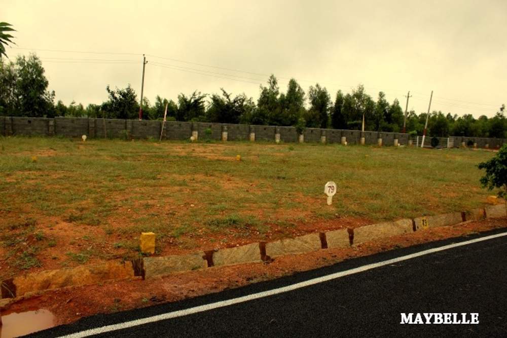  maybelle block 2 Images for Main Other of Sizzle Maybelle Block 2