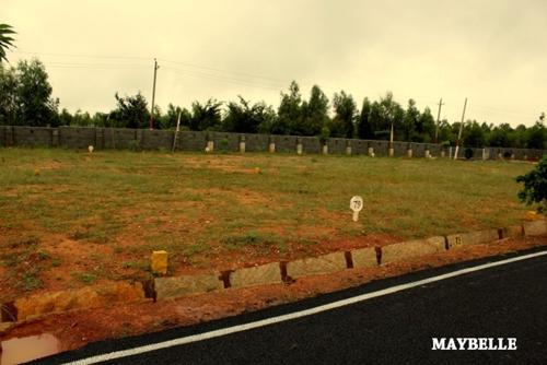  maybelle-block-2 Images for Main Other of Sizzle Maybelle Block 2