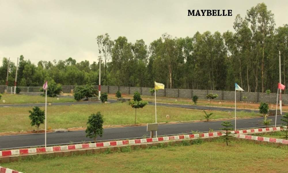  maybelle block 2 Images for Main Other of Sizzle Maybelle Block 2