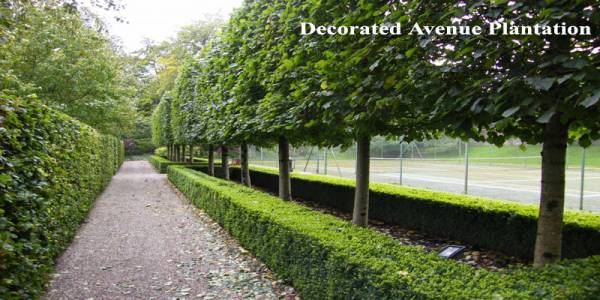 Images for Amenities of Shirdi Oxygen City