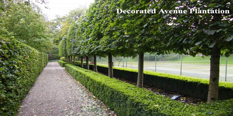 Images for Amenities of Shirdi Oxygen City