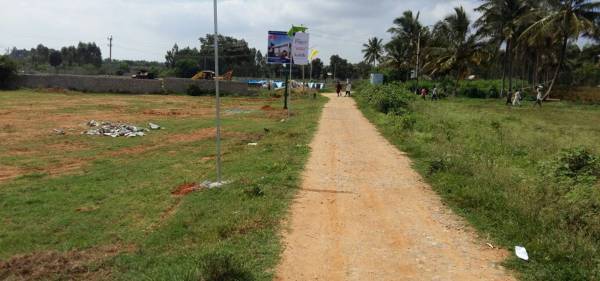 Images for Main Other of Kritih Rigel