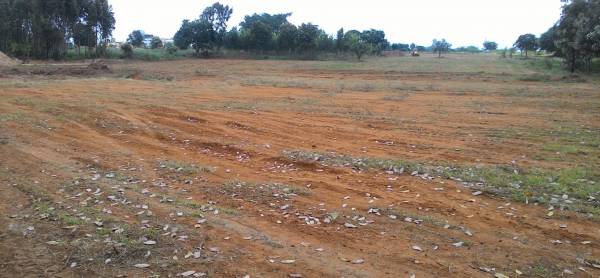 Images for Main Other of Kritih Rigel