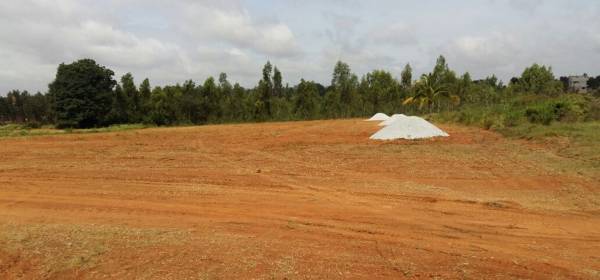 Images for Main Other of Kritih Rigel