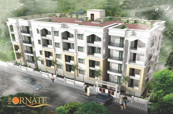  the-ornate Images for Project