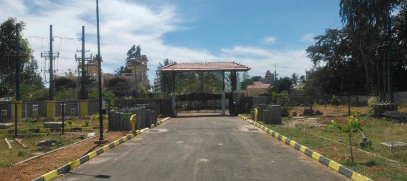 Images for Main Other of CK Brad Projects Chestnut Oak