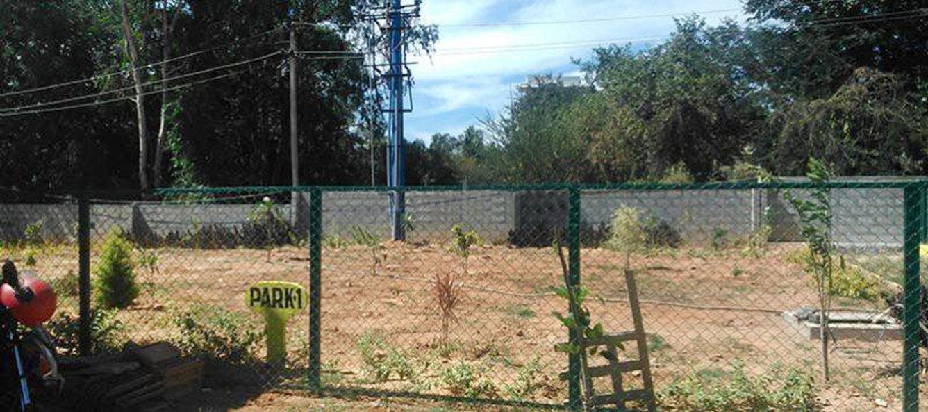 Images for Main Other of CK Brad Projects Chestnut Oak