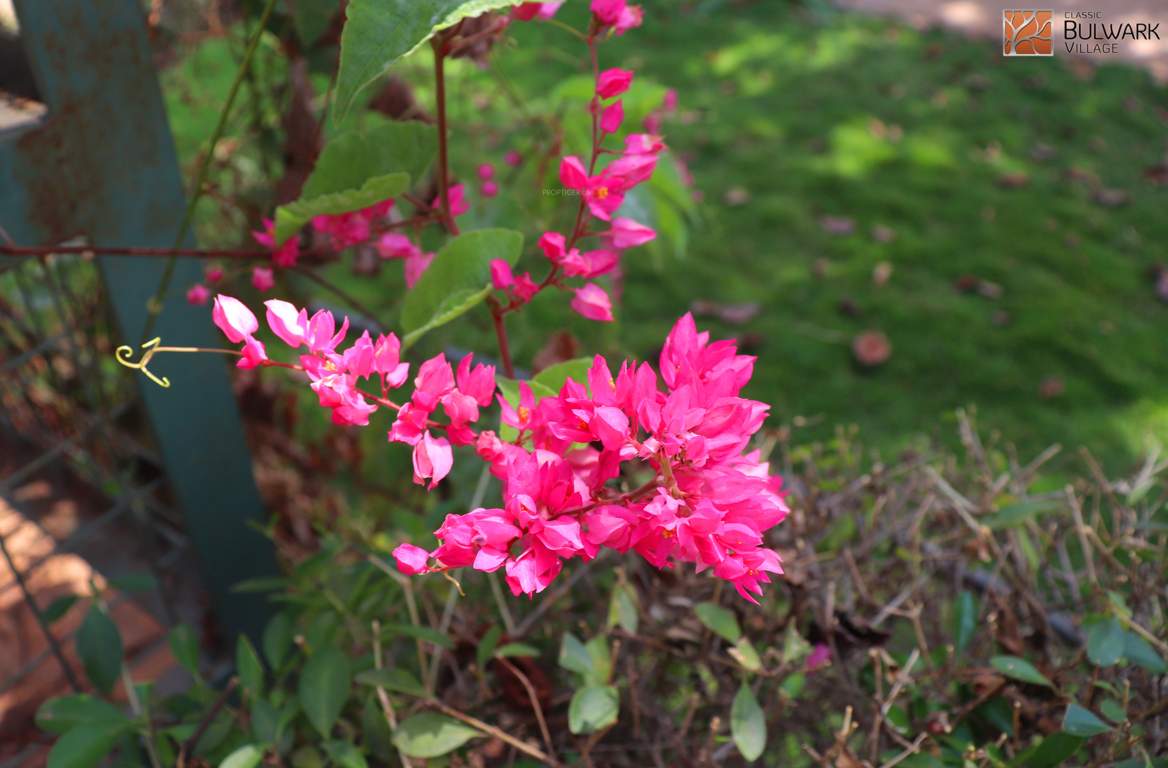  classic bulwark village Images for amenities