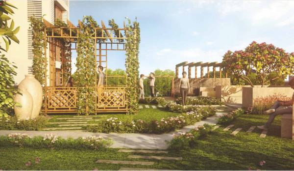 Others allium Others