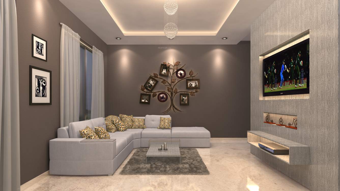  allium Images for Main Other of Bhoomi Allium