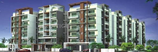 Images for Elevation of Fortune Essjay Fortune Images for Elevation of Fortune Essjay Fortune