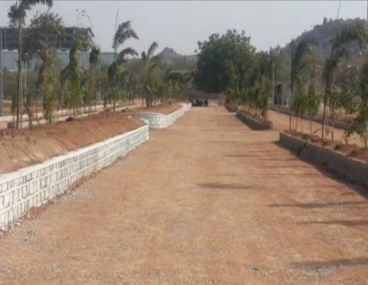 park- Elevation Elevation