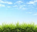 Images for Elevation of Telecom Cauvery Vana