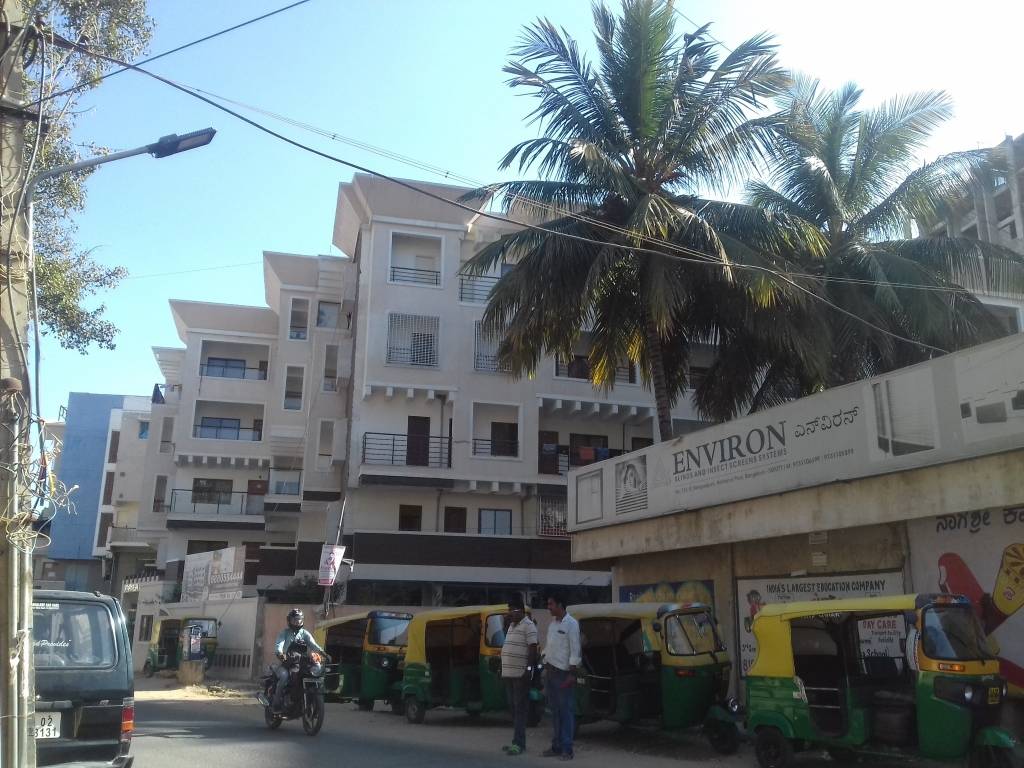 prakash hibiscus Images for Project