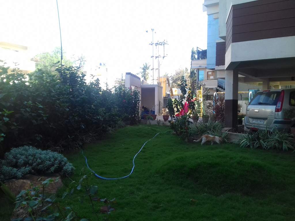 prakash hibiscus Images for amenities