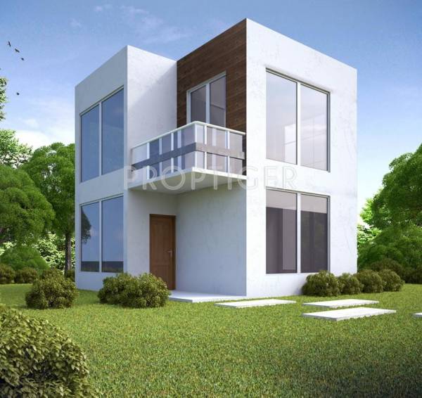 Images for Elevation of Dove The Destination