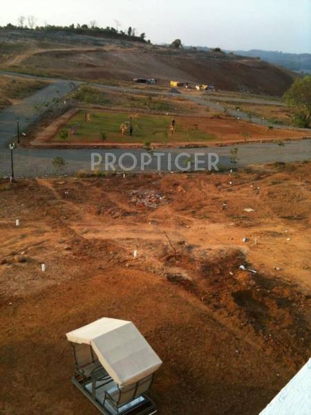 Images for Elevation of Dove The Destination Plots