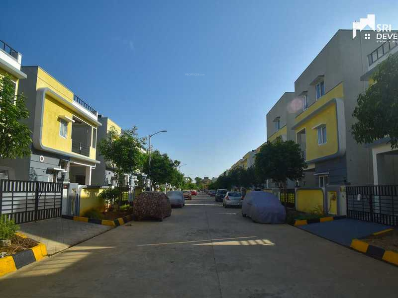  pranav blooms Others