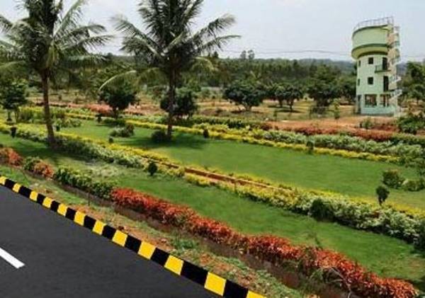 Images for Amenities of AVRS Hill County 1