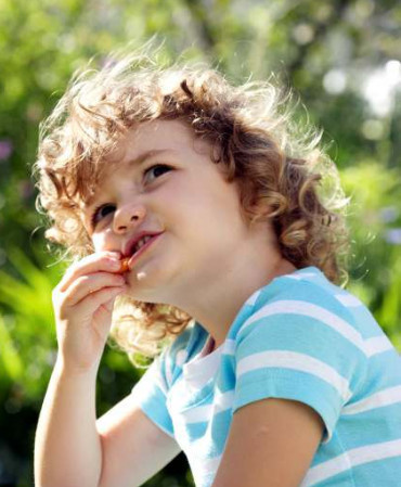  symphony Landscaped Gardens