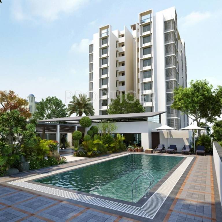 Avirat group Silver Harmony