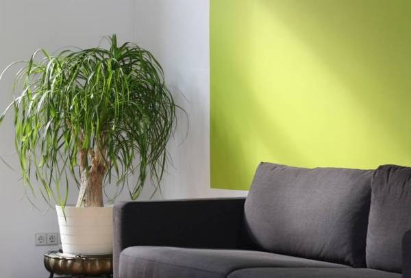 Images for Main Other of Quadrone Solitaire Spaces