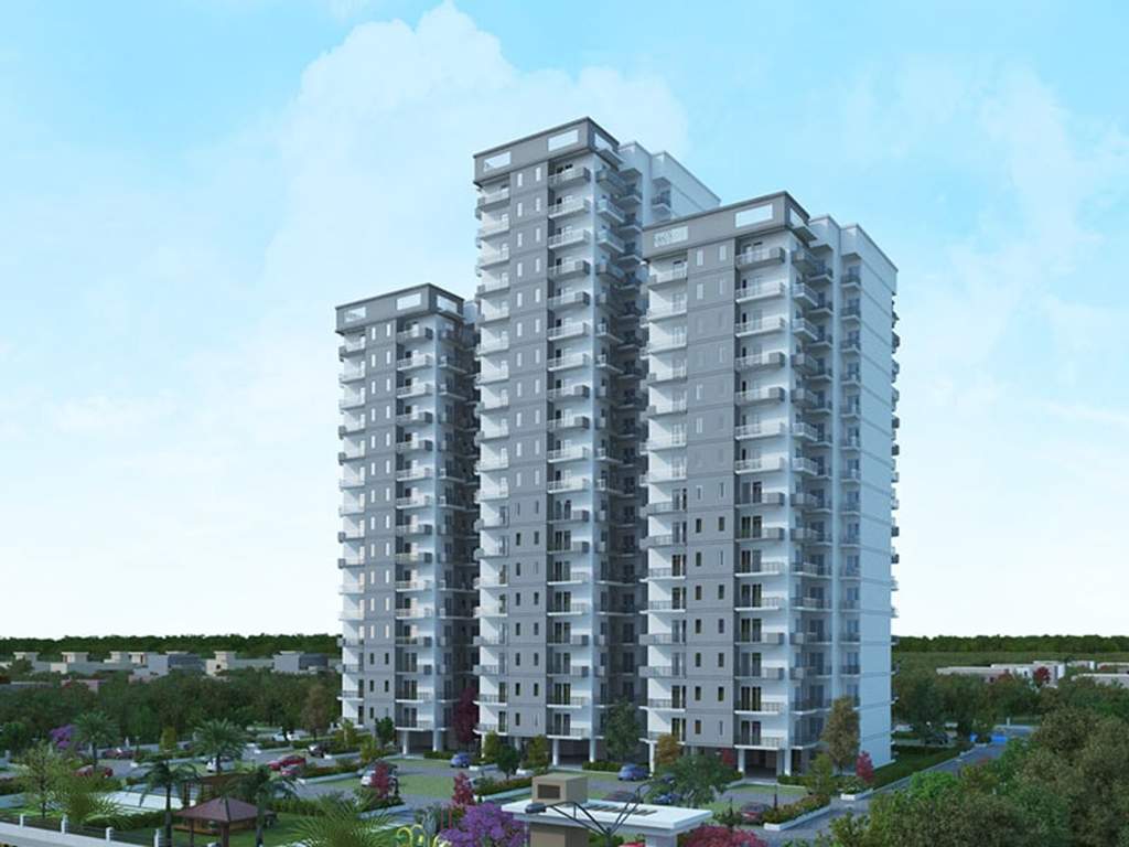  the roselia Images for Elevation of Signature The Roselia