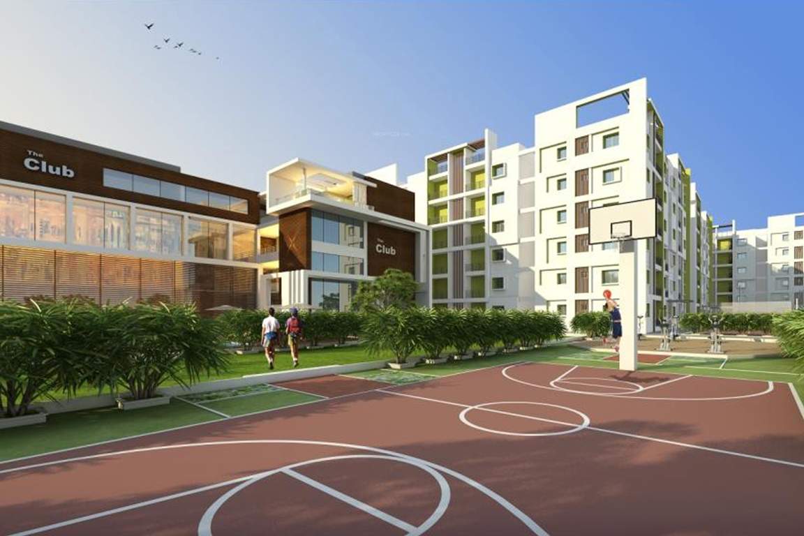  noveo homes Basketball Court