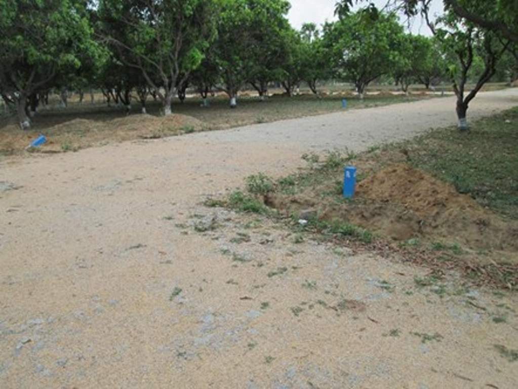 Images for Main Other of BVM Infra Indraprastha