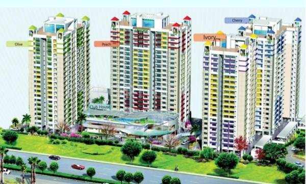  cyber-palms-ivory Elevation