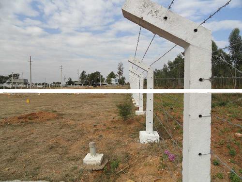 Images for Main Other of Bhadra Ambara