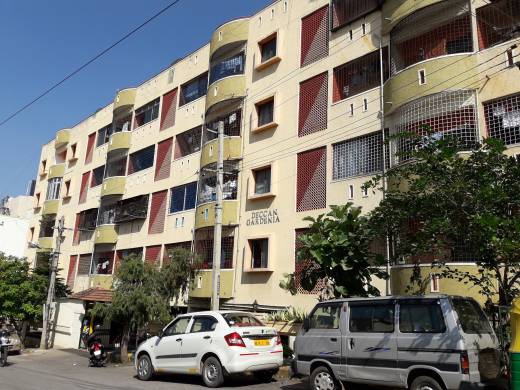 gardenia Images for Project Images for Project