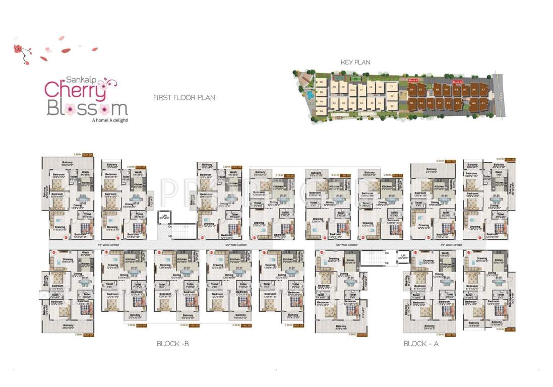  cherry blossom Images for Cluster Plan of Sankalp Cherry Blossom