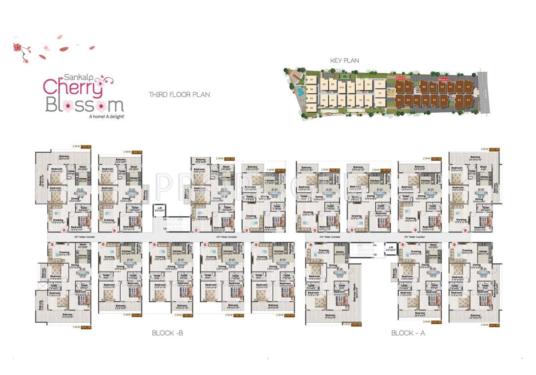  cherry blossom Images for Cluster Plan of Sankalp Cherry Blossom