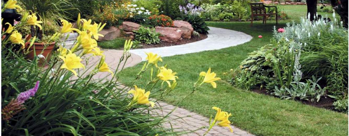  sai aaradhya Images for Amenities of Paradise Sai Aaradhya