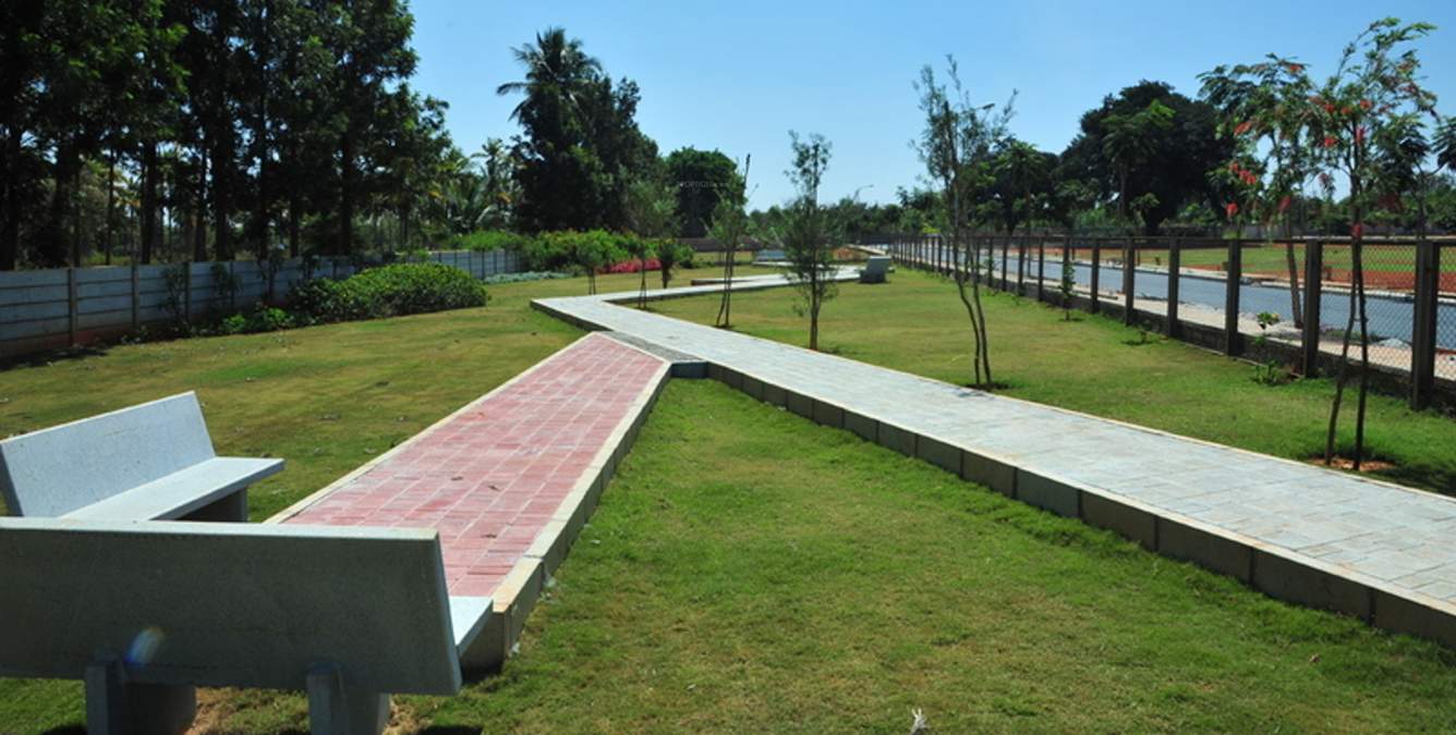 Images for Amenities of PC Parklane