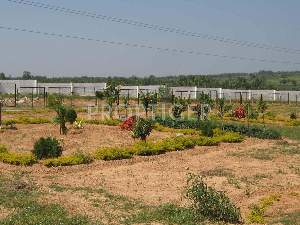 Images for Elevation of AVS Villas Sunfield Plots