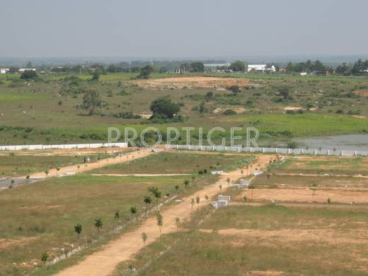 Images for Elevation of AVS Villas Sunfield Plots Images for Elevation of AVS Villas Sunfield Plots